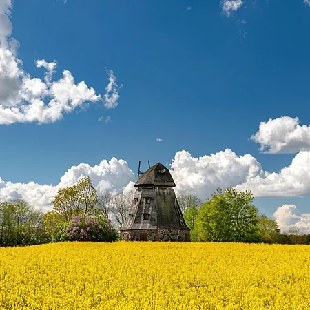Hafensegler Am Stadthafen Apartamento